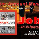 Hawk Valve